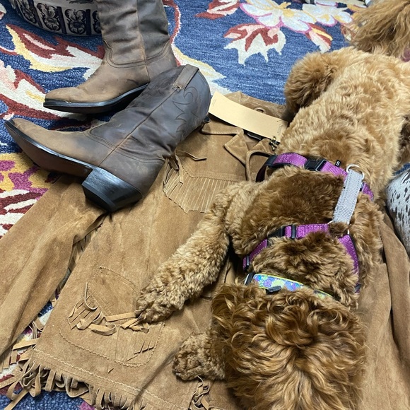 Meet your Posher, Lanee. 🌞

🐶🐾Sorry but My pup is NOT available 🤣She’s our kid - Picture 9 of 17